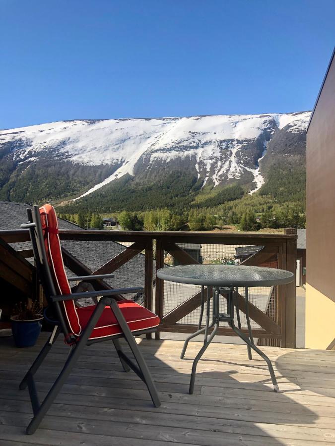 Apartamento Signegarden - Midt I Fjellheimen - Tett Pa Fjord-Norge Skjåk Exterior foto