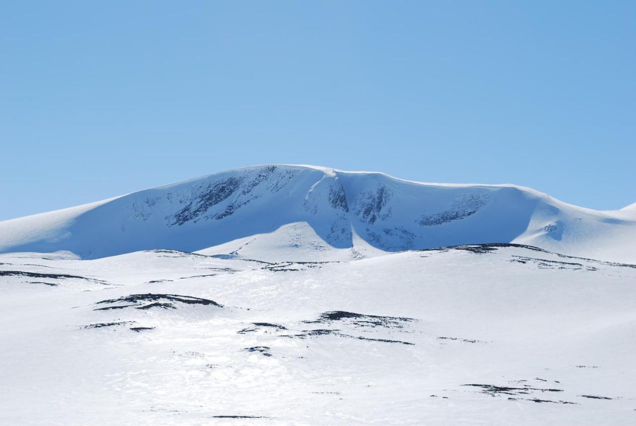 Apartamento Signegarden - Midt I Fjellheimen - Tett Pa Fjord-Norge Skjåk Exterior foto